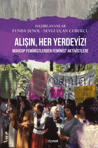 Alışın, Her Yerdeyiz!;Mahcup Feministlerden Feminist Aktivistlere