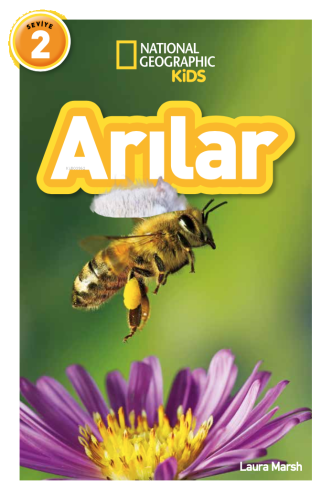 Arılar