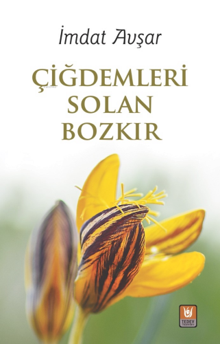 Çiğdemleri Solan Bozkır