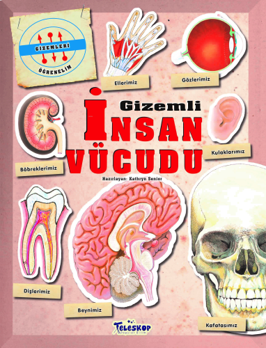 Gizemleri Öğrenelim - Gizemli İnsan Vücudu