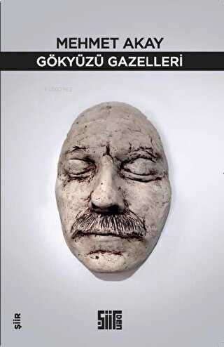 Gökyüzü Gazelleri