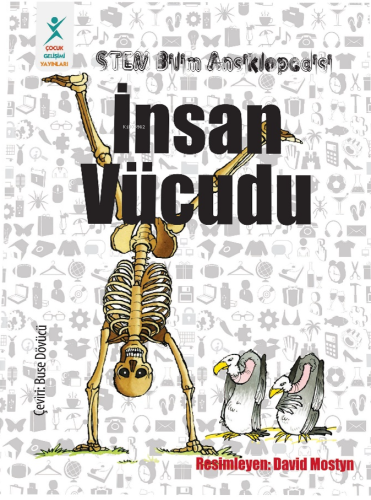 İnsan Vücudu