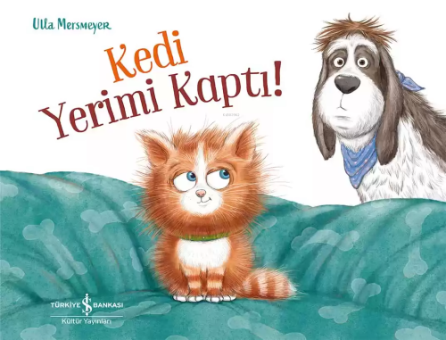 Kedi Yerimi Kaptı!