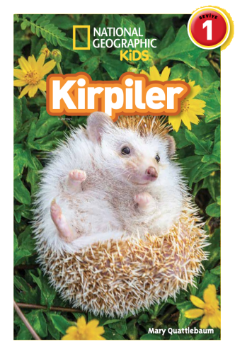 Kirpiler