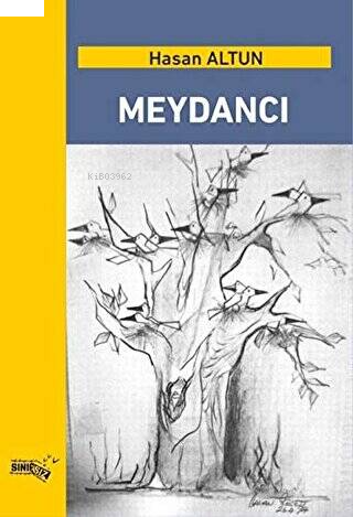 Meydancı