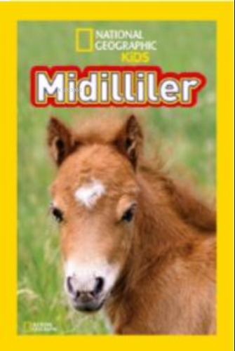 National Geographic Kids Midilliler